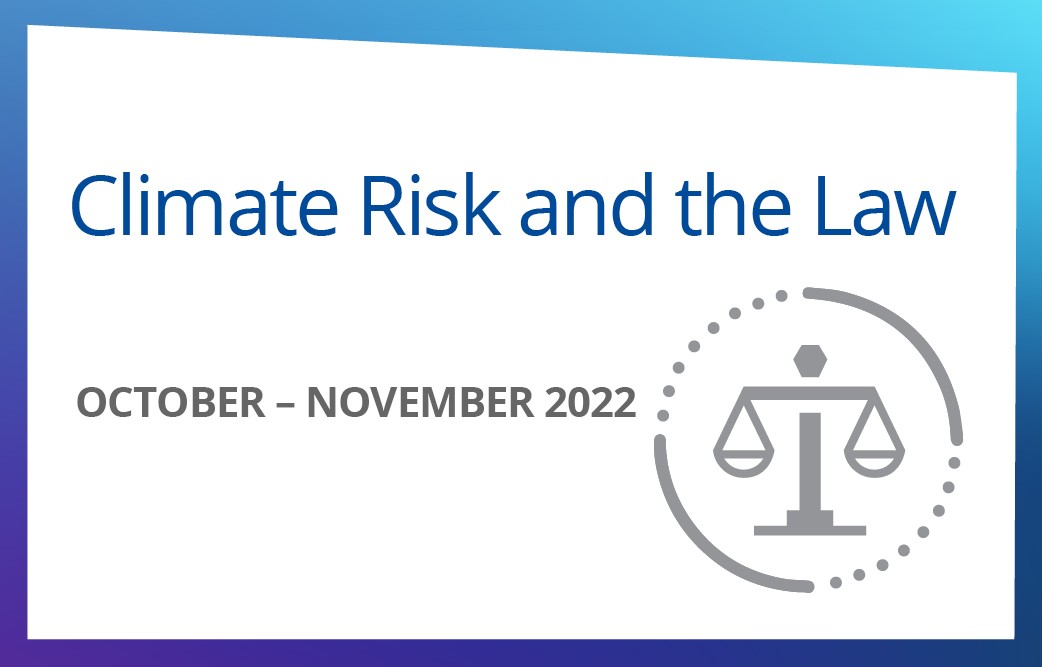 Climate Risk and the Law
