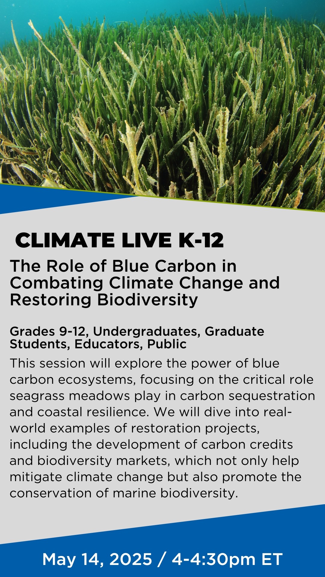 The Role of Blue Carbon in Combating Climate Change and Restoring Biodiversity