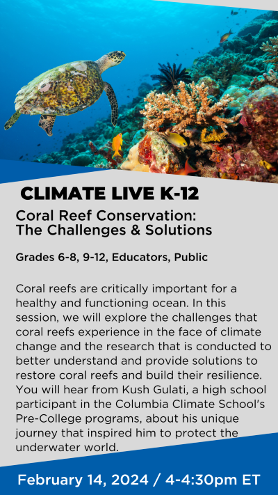 Coral Reef Conservation: The Challenges & Solutions