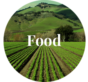 Field of crops with text Food