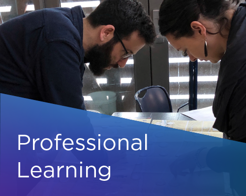 Two people bending over a table with text "Professional Learning" overlayed