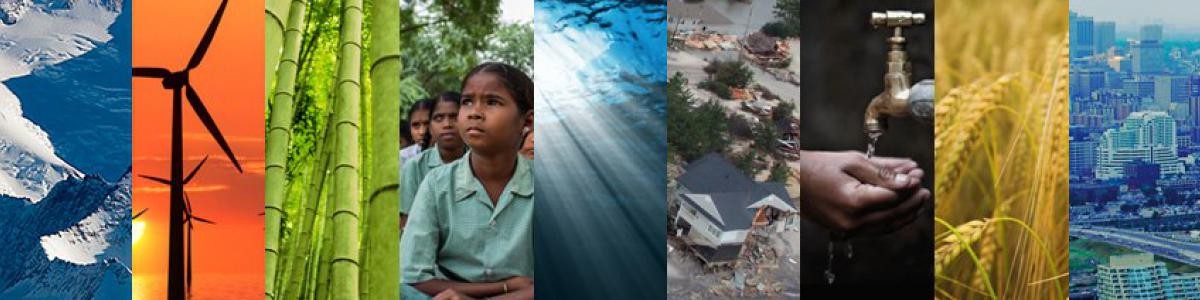 overhead view of ice, wind turbines, bamboo, school children, underwater view, flood damage, hands under running faucet, wheat