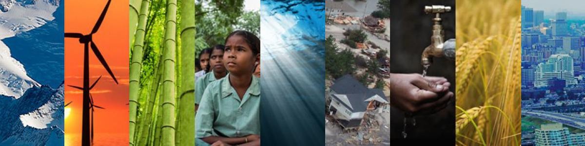 overhead view of ice, wind turbines, bamboo, school children, underwater view, flood damage, hands under running faucet, wheat