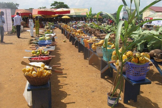 The 26th National Farmers’ Day of the 2010 Ghana-KITA Best Institution Award in Ashanti Region. Credit: Trees for the Future