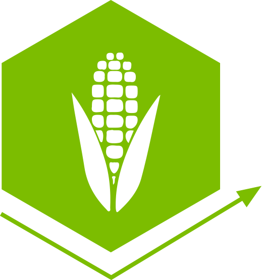 abstract image of corn