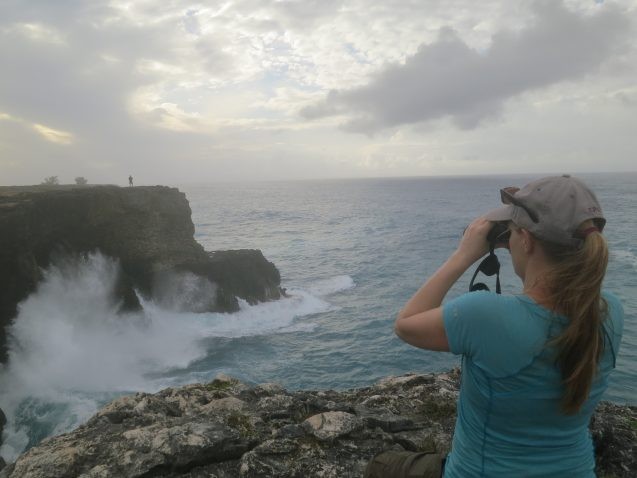 Lamont geodynamicist Jacqueline Austermann surveys cliffs made of coral in Barbados.