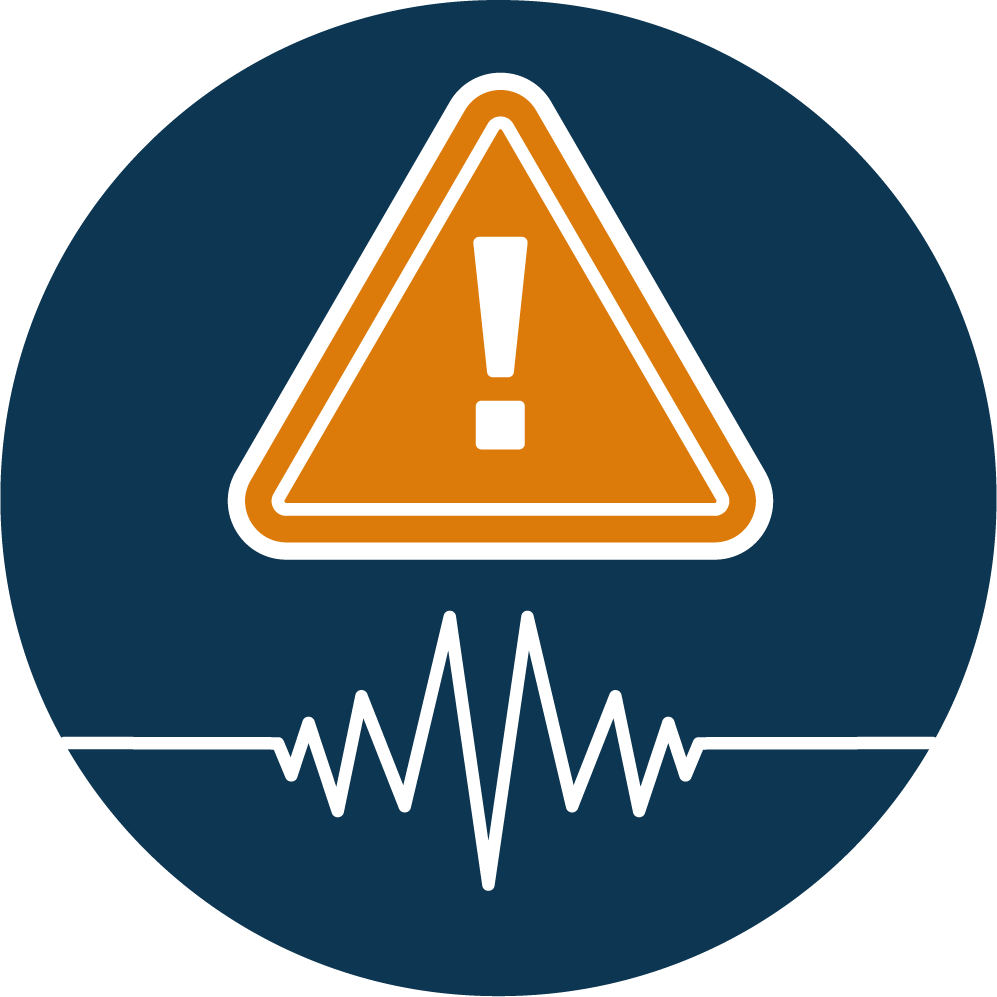 Disaster Resilience
