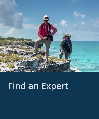 Find an Expert (Photo: Field work in the Bahamas by Jackie Austermann)