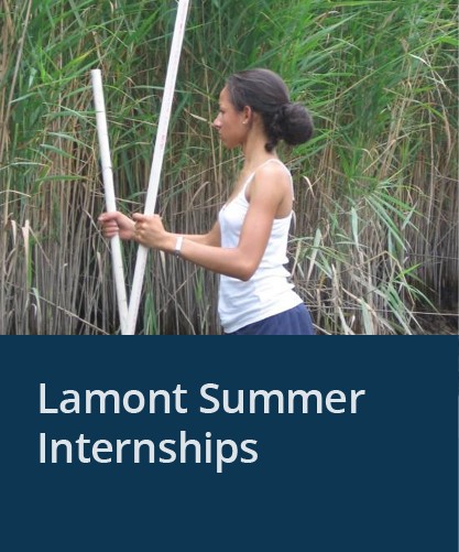 Lamont Summer Internships (Photo: Measuring canopy height and stem count during in marsh during Lamont SSFRP program.)
