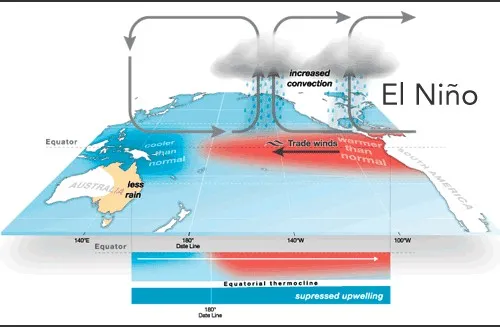 El Niño conditions in the equatorial Pacific showing how the coupled ocean-atmosphere system typically behaves during the El Niño phase. Credit: Australian Bureau of Meteorology