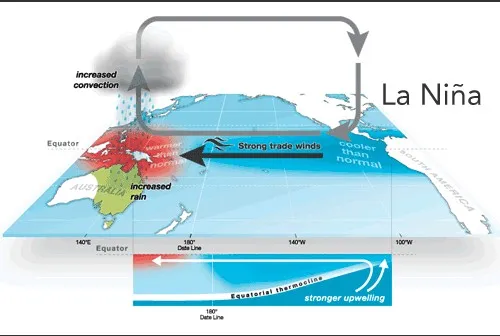 La Niña conditions in the equatorial Pacific showing how the coupled ocean-atmosphere system typically behaves during the La Niña phase. Credit: Australian Bureau of Meteorology