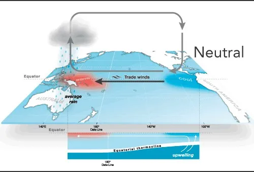 Neutral conditions in the equatorial Pacific showing how the coupled ocean-atmosphere system typically behaves during the neutral phase. Credit: Australian Bureau of Meteorology