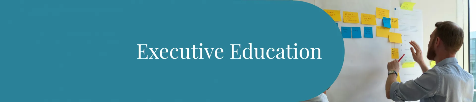 Person putting up sticky notes on a white board with the text Executive Education