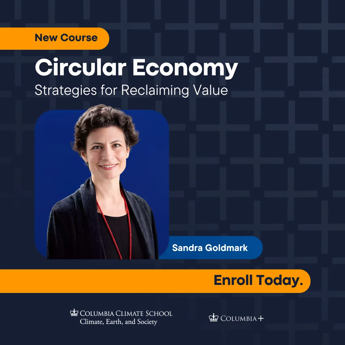 Circular Economy Strategies for Reclaiming Value