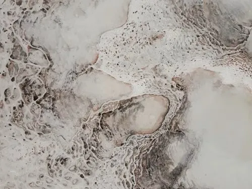 Carbonate mineral deposit