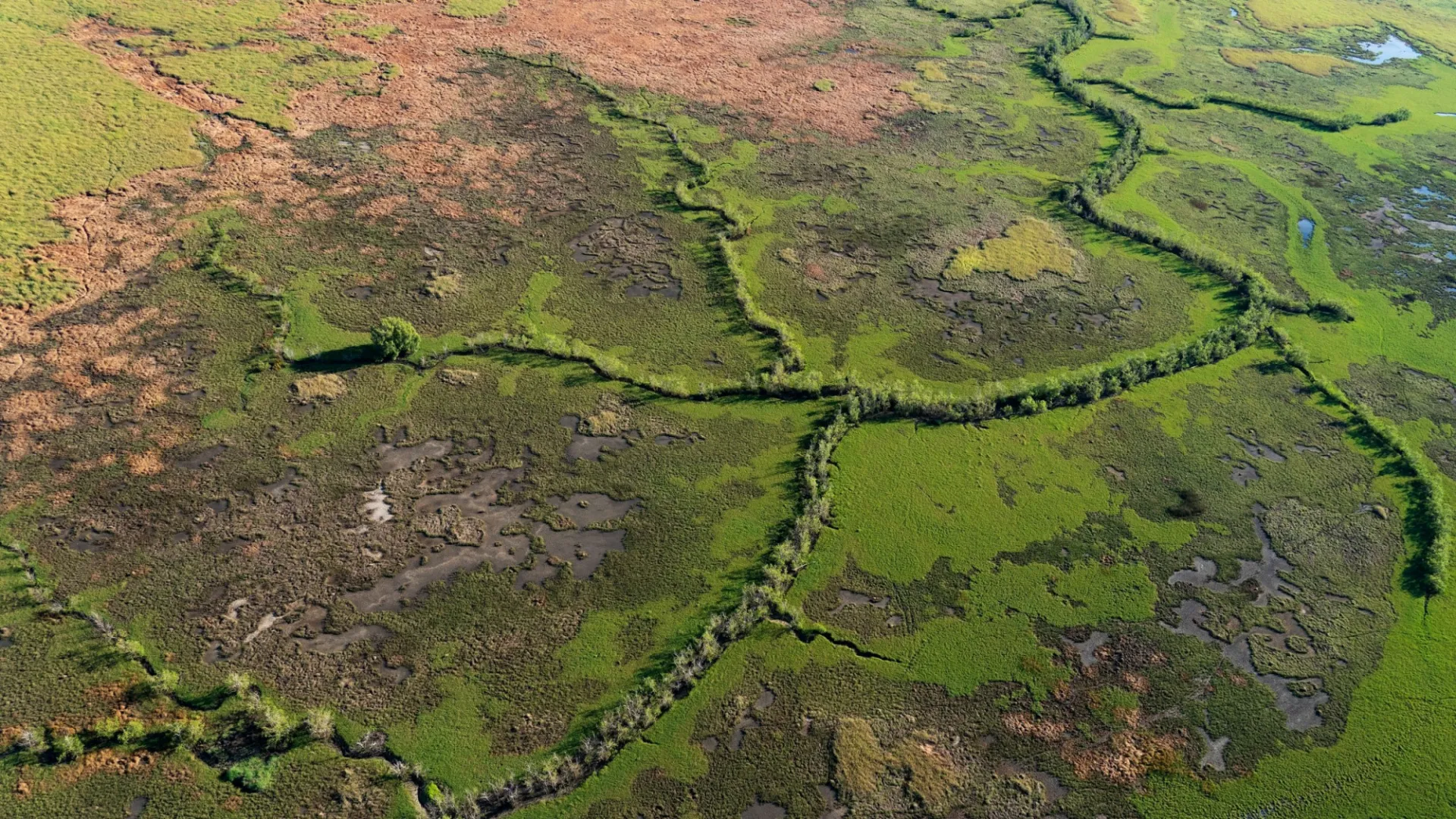 Overhead veiw of a landscape
