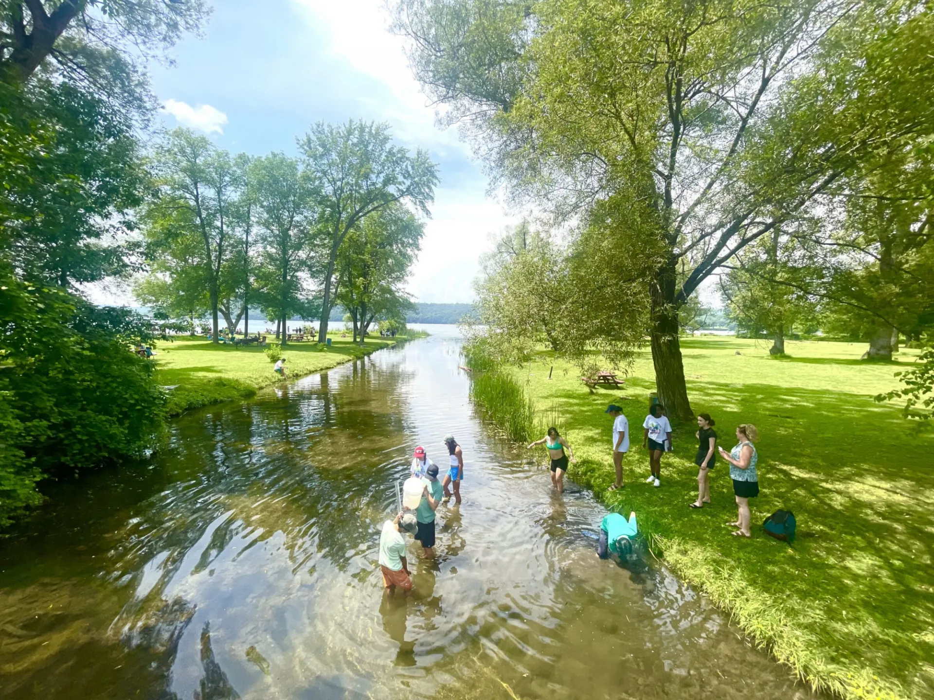 A group of students stand in a lake and collect samples