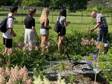 Students in a garden
