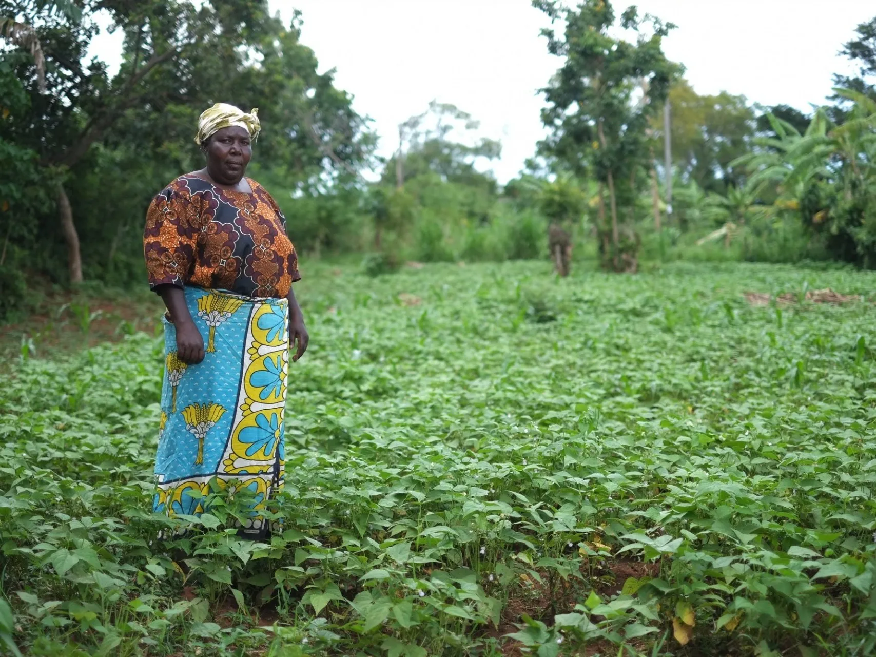 Mary Anyango on Her Bean Farm in Kenya. Credit: Kyu Lee