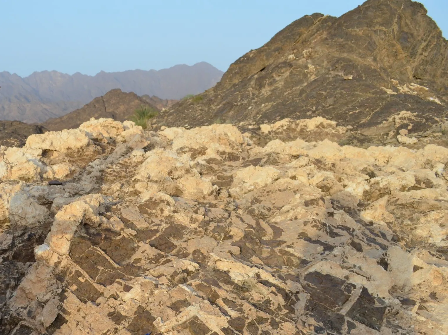 Outcrop of peridotite in Oman. Credit: Kevin Krajick