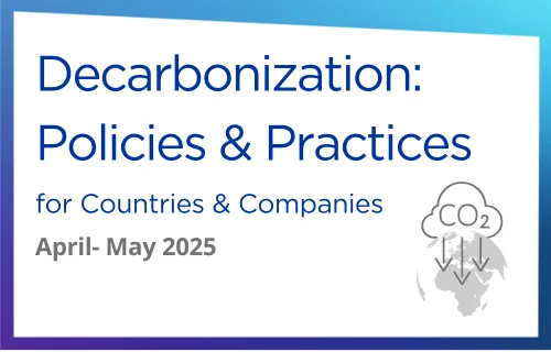 Decarbonization: Policies & Practices Flyer
