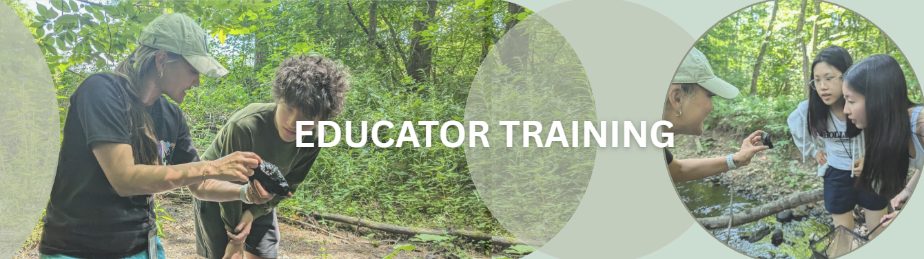 Educator training