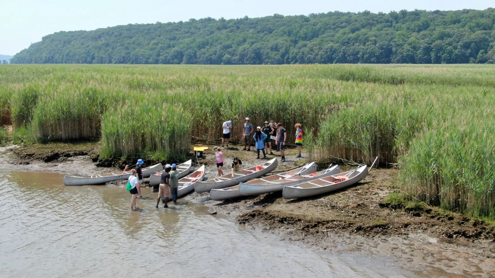 Picture showing a dozen people gathered around canoes at the shore of a river with bamboos 