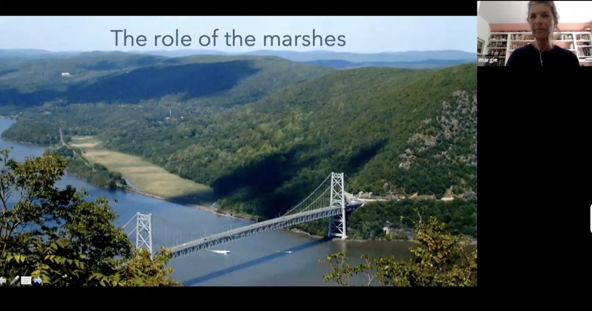 The role of the marshes