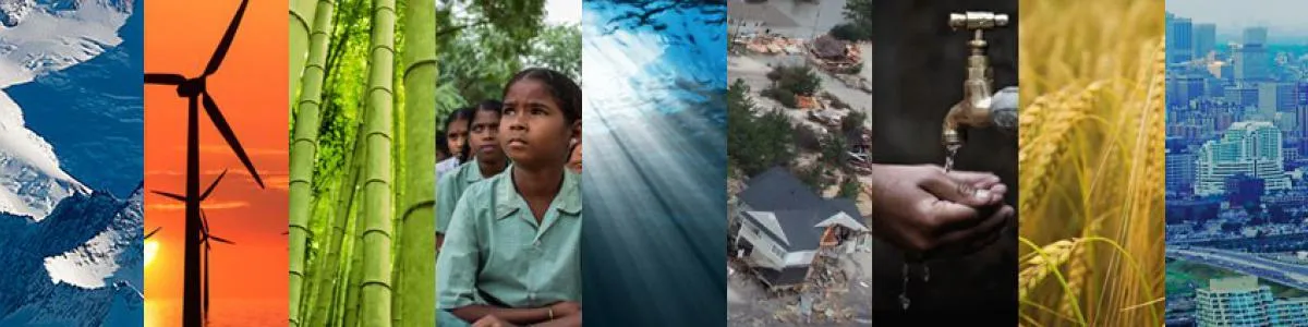 overhead view of ice, wind turbines, bamboo, school children, underwater view, flood damage, hands under running faucet, wheat