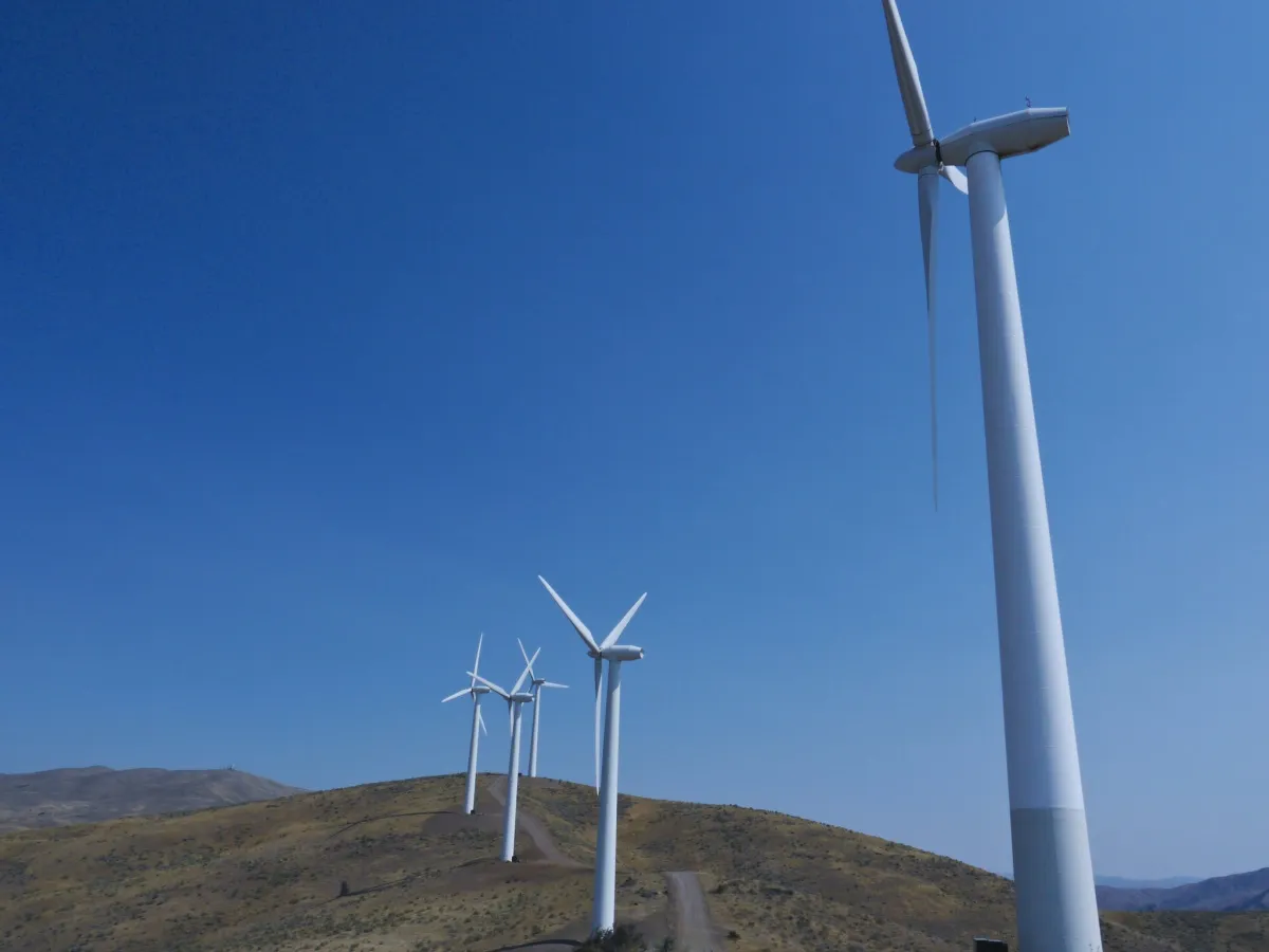 Wind farm