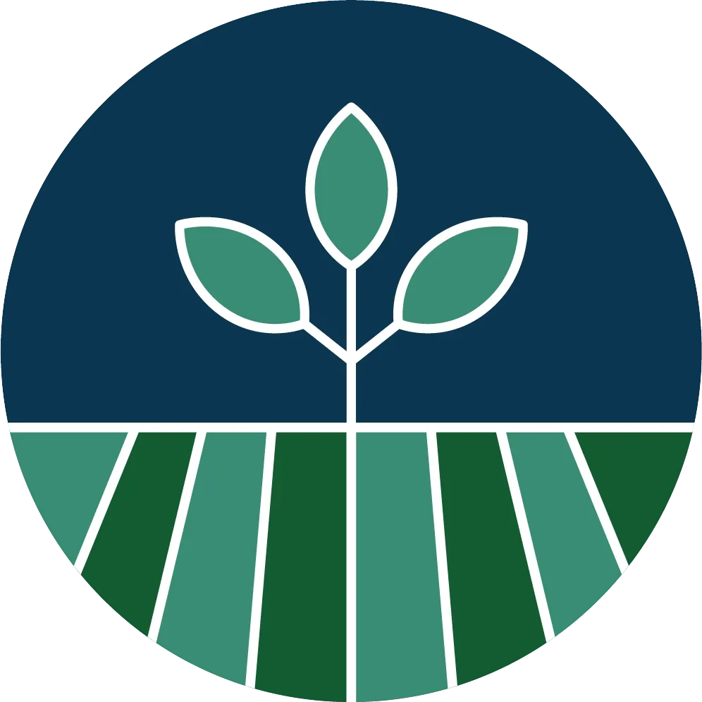 Seed Funding 